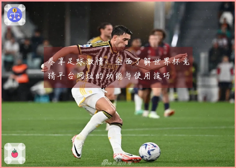 尽享足球激情，全面了解世界杯竞猜平台网址的功能与使用技巧