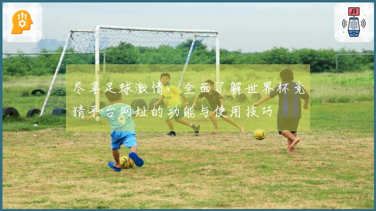 尽享足球激情，全面了解世界杯竞猜平台网址的功能与使用技巧