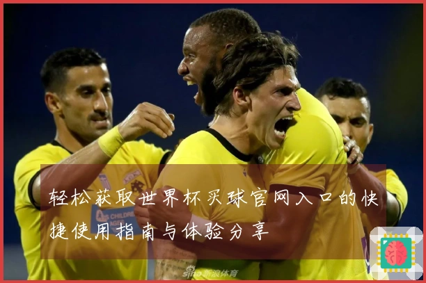 轻松获取世界杯买球官网入口的快捷使用指南与体验分享