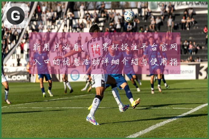 新用户必看：世界杯投注平台官网入口的优惠活动详细介绍与使用指南
