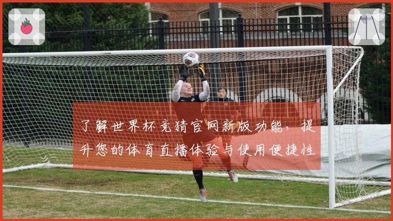 了解世界杯竞猜官网新版功能，提升您的体育直播体验与使用便捷性