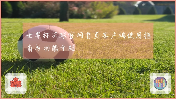 世界杯买球官网首页客户端使用指南与功能介绍